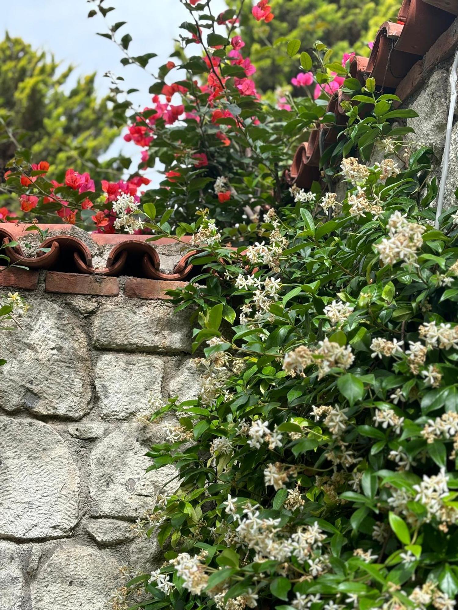Tasdelen Hotel Alaçatı Zewnętrze zdjęcie